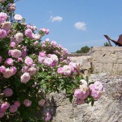 Отель Masseria La Gravina Кастелланета фото 5