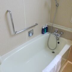 Отель KEIKYU EX HOTEL SHINAGAWA (EX KEIKYU EX INN Shinagawa-Station) Япония, Токио - отзывы, цены и фото номеров - забронировать отель KEIKYU EX HOTEL SHINAGAWA (EX KEIKYU EX INN Shinagawa-Station) онлайн ванная фото 2