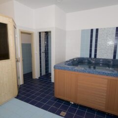 Hotel Olympionik Мельник бассейн