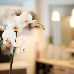Отель Agriturismo Il Mulinum Италия, Порлецца - отзывы, цены и фото номеров - забронировать отель Agriturismo Il Mulinum онлайн спа
