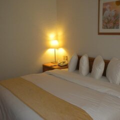 Hotel Plaza Florencia Мехико комната для гостей фото 4