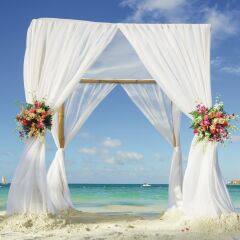 Отель Riu Reggae Adults Only - All Inclusive фото 2