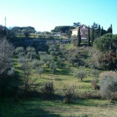 Отель Agriturismo Tenuta Quarto Santa Croce фото 4