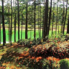 Terracotta Hotel & Resort Dalat фото 3