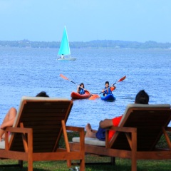 Отель Jetwing Lagoon гостиничный бар