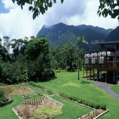Yakushima Iwasaki Hotel Якусима развлечения