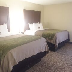 Отель Comfort Inn & Suites Little Rock Airport США, Литл-Рок - отзывы, цены и фото номеров - забронировать отель Comfort Inn & Suites Little Rock Airport онлайн комната для гостей фото 5