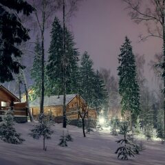Артурс Village & SPA Hotel Ларёво фото 5