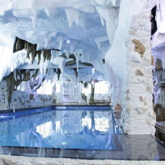 Bali Colosseum Hotel с домашними животными