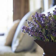 Отель Cambridge Cottage - Self Catering Accom