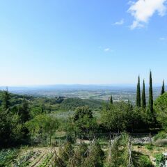 Отель Farmhouse With Pool and Large Garden, 50 Acres of Vineyards, Wine Tasting Ареццо фото 23