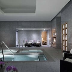 Отель Jet Luxury at the Vdara Condo Hotel США, Лас-Вегас - отзывы, цены и фото номеров - забронировать отель Jet Luxury at the Vdara Condo Hotel онлайн бассейн фото 2