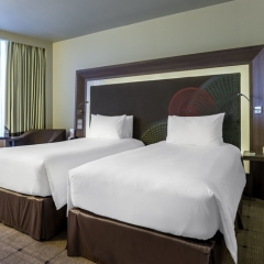 Novotel Diyarbakir Турция, Диярбакыр - отзывы, цены и фото номеров - забронировать отель Novotel Diyarbakir онлайн комната для гостей фото 4