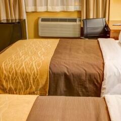 Отель Comfort Inn США, Нью-Йорк - 1 отзыв об отеле, цены и фото номеров - забронировать отель Comfort Inn онлайн помещение для мероприятий фото 2