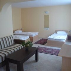 Hotel Sylvia in Sofia, Bulgaria from 81$, photos, reviews - zenhotels.com guestroom