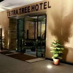 Отель Tetra Tree Hotel Иордания, Вади-Муса - отзывы, цены и фото номеров - забронировать отель Tetra Tree Hotel онлайн интерьер отеля фото 2
