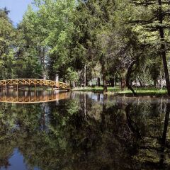 Отель VIDAGO Шавеш приотельная территория фото 2