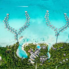 Отель InterContinental Bora Bora Resort and Thalasso Spa фото 3