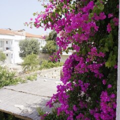 Отель Aladam Otel Чешме фото 3