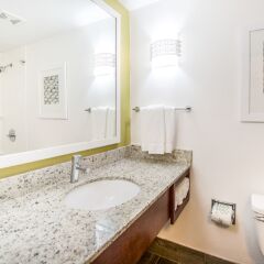 Отель Hilton Garden Inn Orange Beach ванная