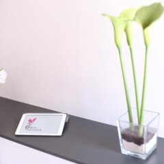 Отель Iris Room интерьер отеля