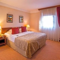 Отель Zlatnik Сербия, Белград - отзывы, цены и фото номеров - забронировать отель Zlatnik онлайн фото 15