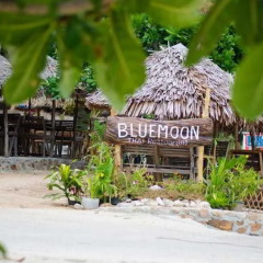 Отель Phi Phi The Beach Resort Таиланд, пляж Лонг Бич - отзывы, цены и фото номеров - забронировать отель Phi Phi The Beach Resort онлайн
