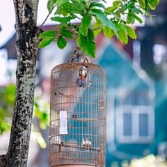 Отель Hanoi Little Town Hotel Вьетнам, Ханой - отзывы, цены и фото номеров - забронировать отель Hanoi Little Town Hotel онлайн фото 2