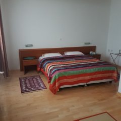 Hotel Maxi in Sarajevo, Bosnia and Herzegovina from 95$, photos, reviews - zenhotels.com room amenities