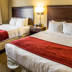 Отель Comfort Suites Sarasota - Siesta Key комната для гостей фото 5