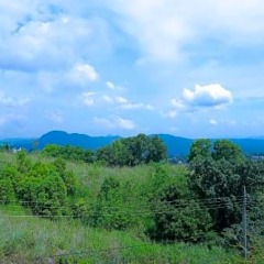 Отель Kandyan View Holiday Канди приотельная территория