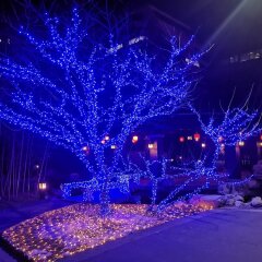 Отель Beijing Asia Hotel Китай, Пекин - отзывы, цены и фото номеров - забронировать отель Beijing Asia Hotel онлайн развлечения