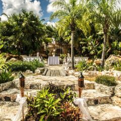 Отель Ocean Maya Royale Плайякар фото 8