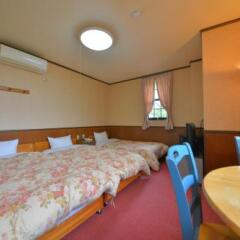 Hotel Euro City Никко сейф в номере