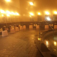 Mount View Hotel Камикава с домашними животными