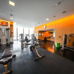 Отель Sofitel Dubai Downtown фитнесс-зал фото 4