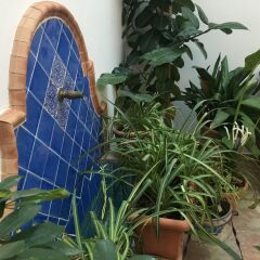 Отель La Casa del Río детские мероприятия