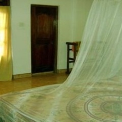 Отель Palm Gardens Канди бассейн