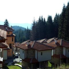 Отель Villas & SPA at Pamporovo Village Пампорово фото 9