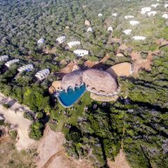 Отель Wild Coast Tented Lodge - All Inclusive Шри-Ланка, Тиссамахарама - отзывы, цены и фото номеров - забронировать отель Wild Coast Tented Lodge - All Inclusive онлайн фото 10