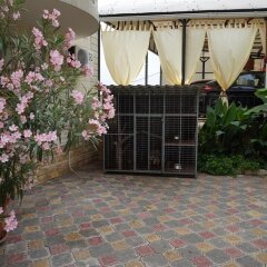 Гостиница Guest house Viktoriya в Сочи 1 отзыв об отеле, цены и фото номеров - забронировать гостиницу Guest house Viktoriya онлайн фото 4