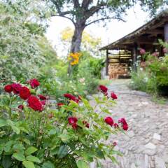 Отель Little River Guest House OLD Боженци фото 10