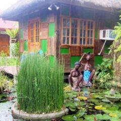 Отель The Lotus Garden Hotel Филиппины, Пуэрто-Принцеса - отзывы, цены и фото номеров - забронировать отель The Lotus Garden Hotel онлайн детские мероприятия
