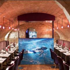 ATN Hotel детские мероприятия
