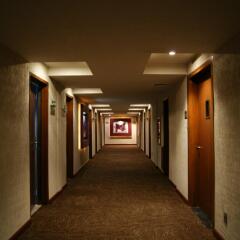 Plaza Diana Hotel интерьер отеля фото 2