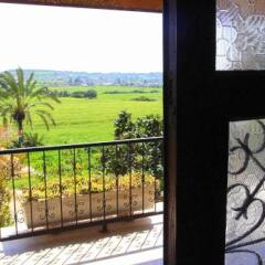 Отель Karpaz Farm Guest House Кипр, Ризокарпасо - отзывы, цены и фото номеров - забронировать отель Karpaz Farm Guest House онлайн балкон