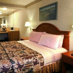 Отель Nob Hill Motor Inn комната для гостей фото 15