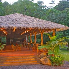 Отель The Springs Resort and Spa at Arenal фото 5