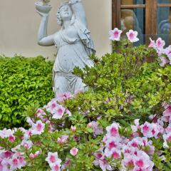 Отель Villa Gabriele DAnnunzio фото 14