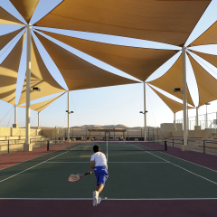 Отель Anantara Qasr Al Sarab Resort And Spa Оазис Лива спортивное сооружение